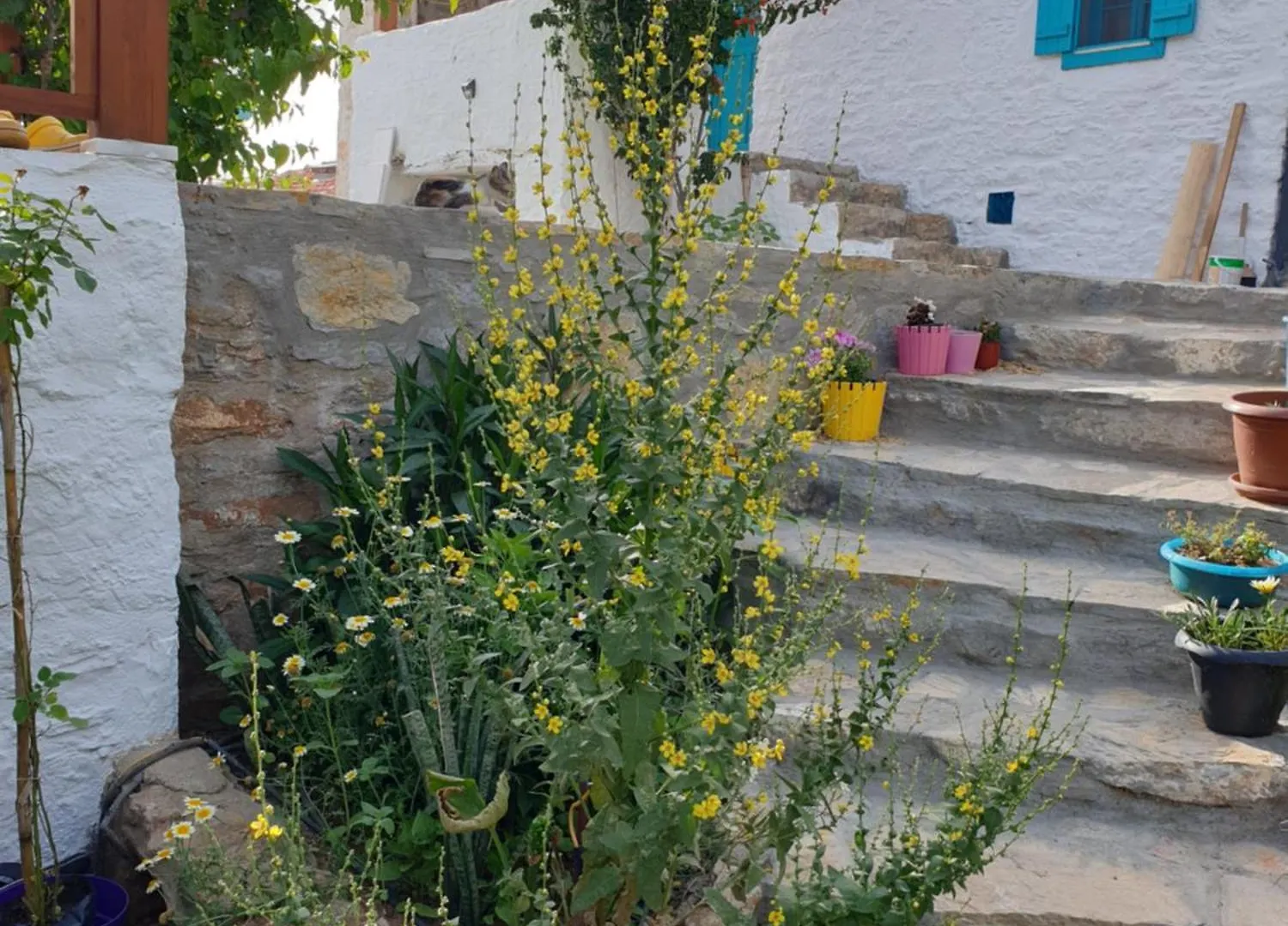Guenes Butik Otel Datca Cumali 0*,