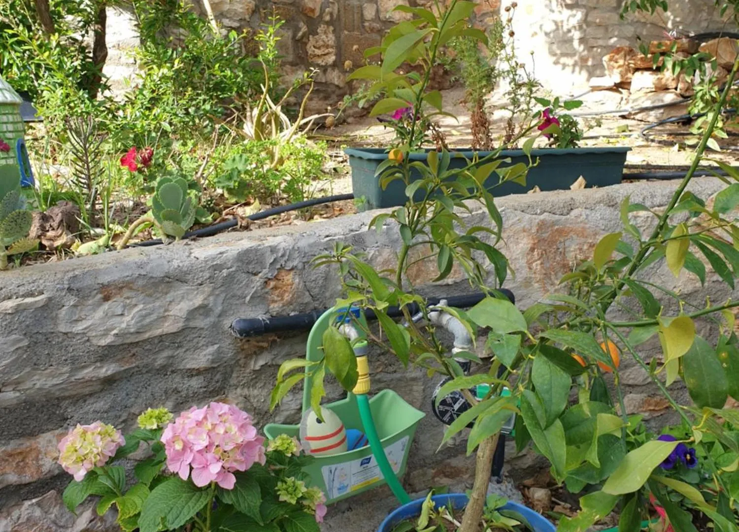 Guenes Butik Otel Datca Cumali Penzion