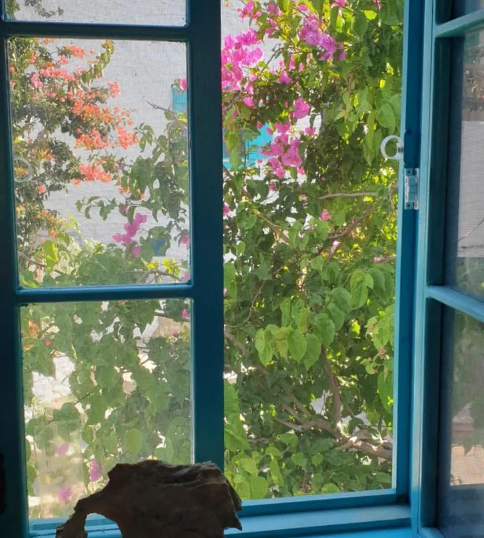 Guenes Butik Otel Datca Cumali