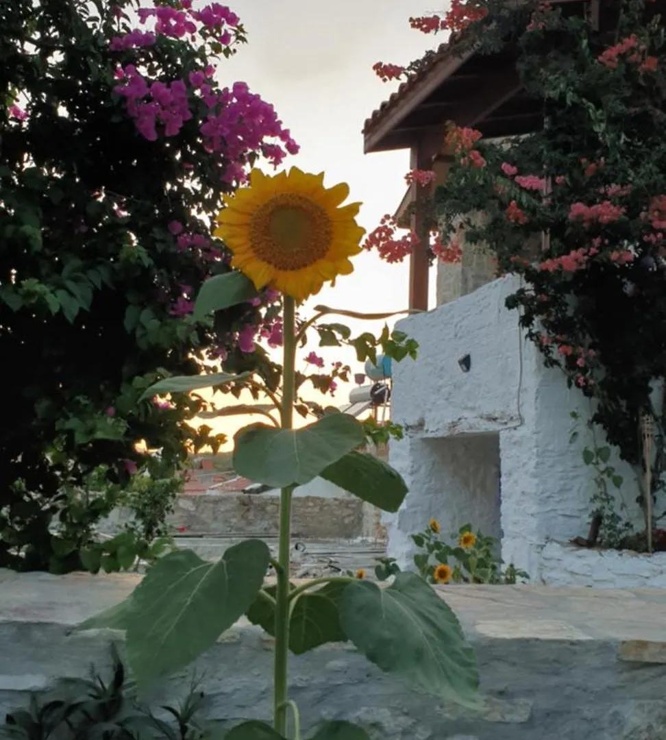 Penzion Guenes Butik Otel Datca Cumali