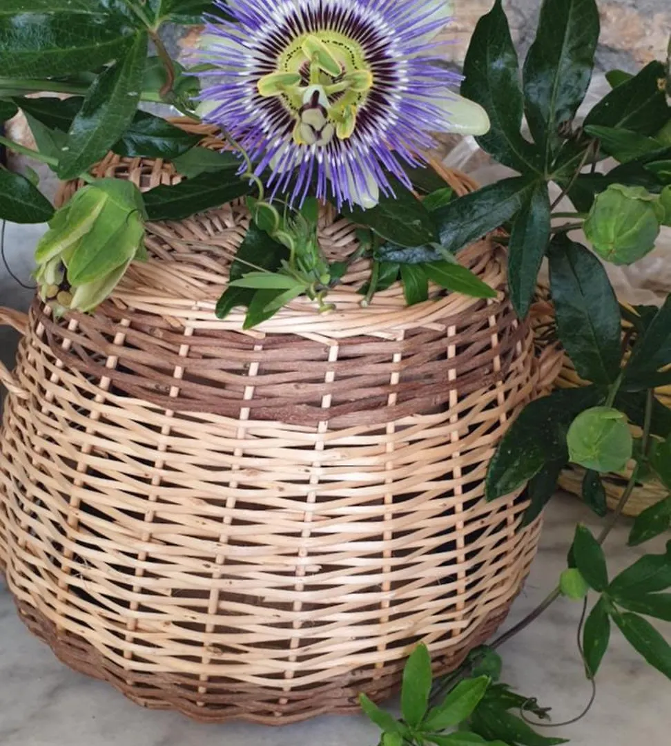 Guenes Butik Otel Datca Cumali 0*,