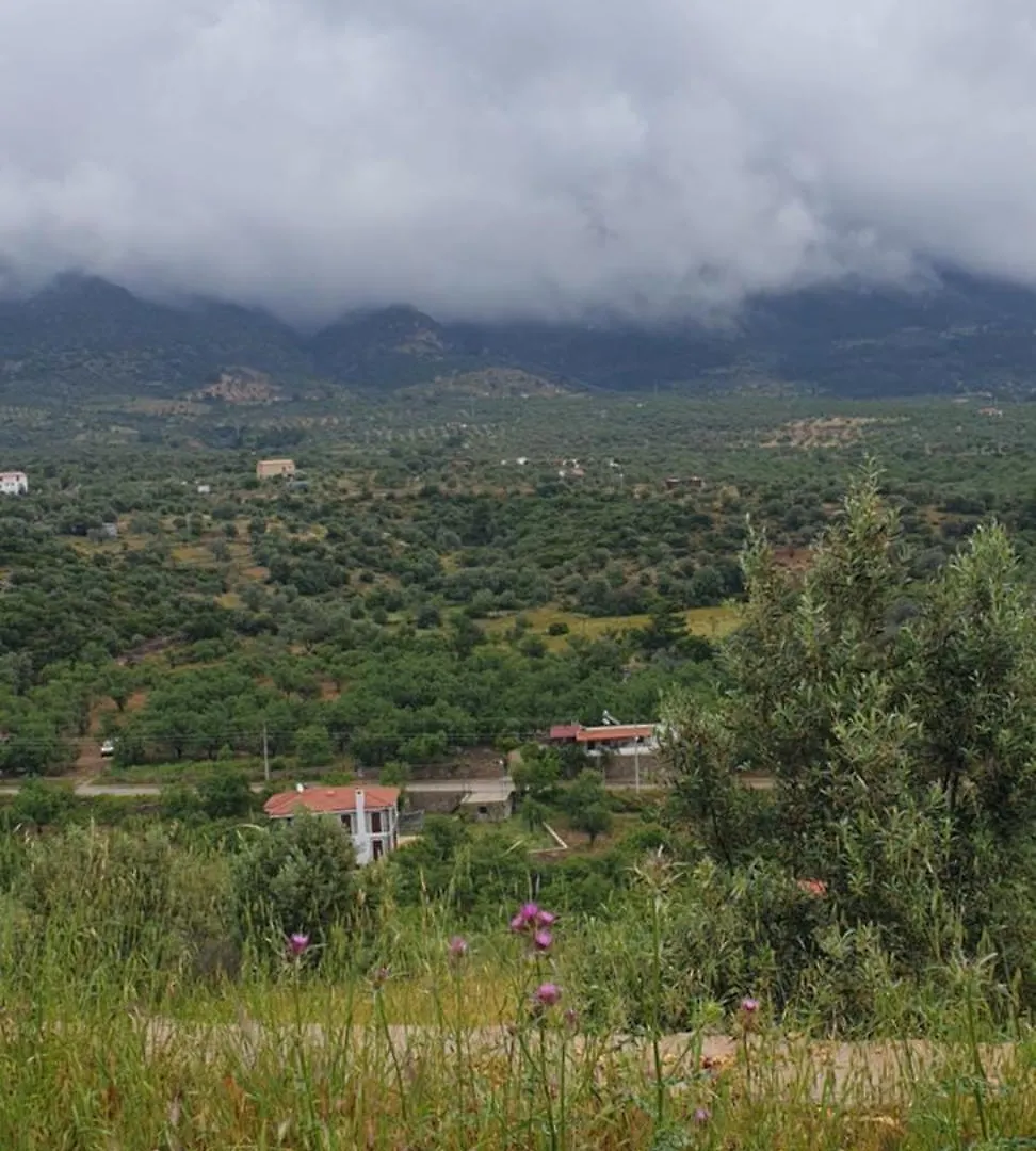 Penzion Guenes Butik Otel Datca Cumali